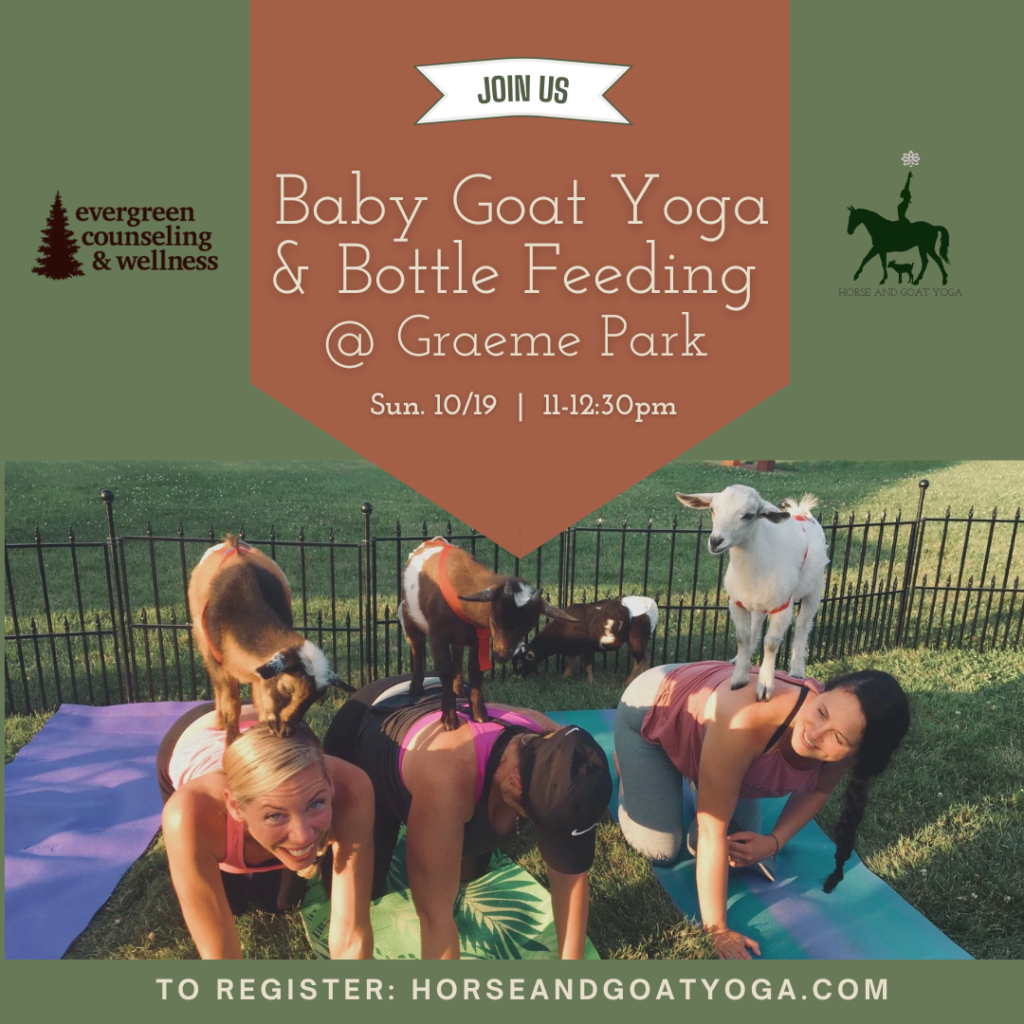 goat-yoga-graeme-park-october-2025